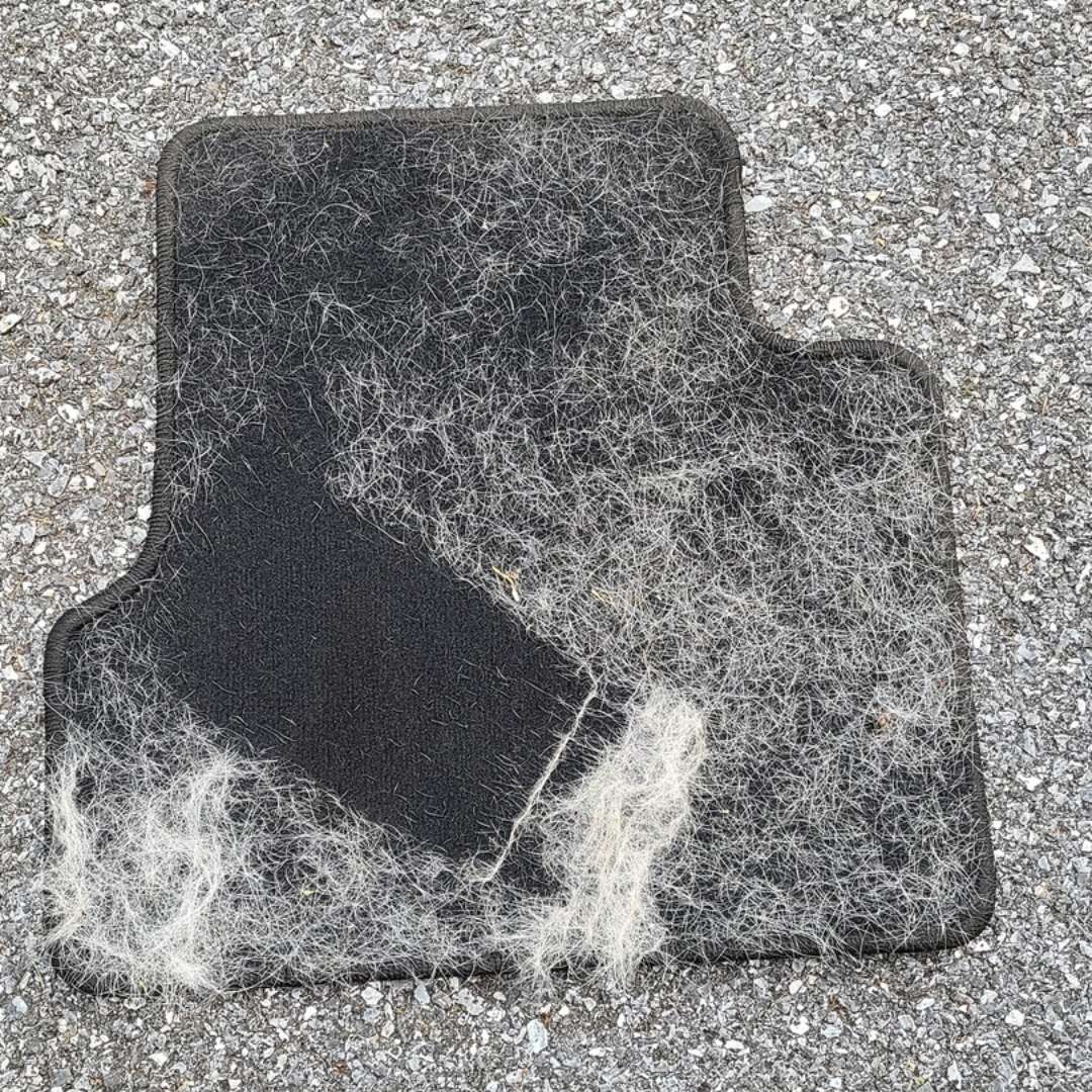 Guante Quitapelos Para Mascotas