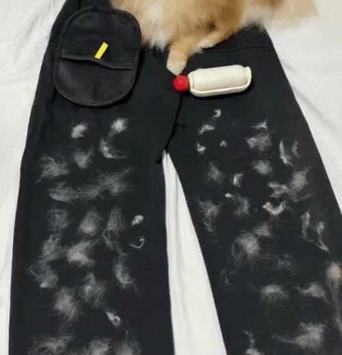 Guante Quitapelos Para Mascotas